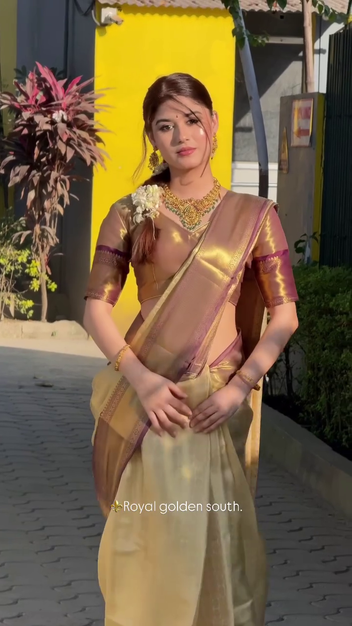 Royal Gold South Silk Saree with Purple Border