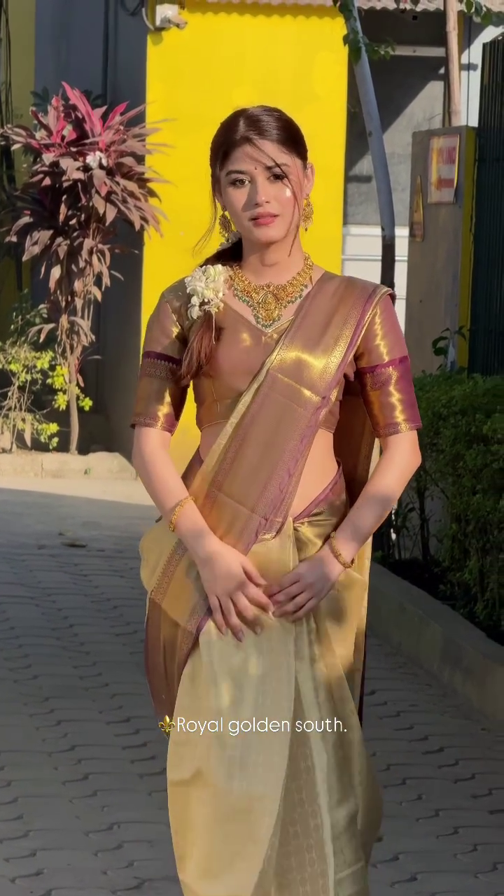 Royal Gold South Silk Saree with Purple Border