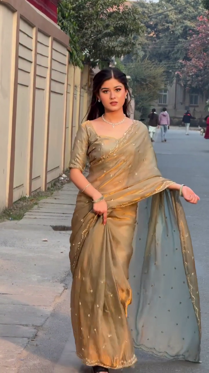 Golden Glow Embroidered Silk Saree