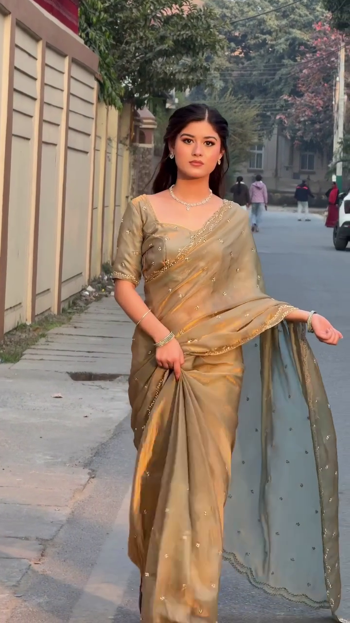 Golden Glow Embroidered Silk Saree