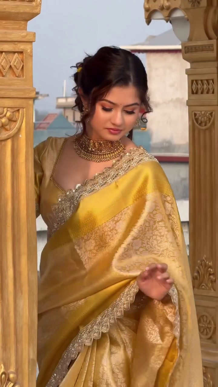 Regal Golden Banarasi Silk Saree with Intricate Zari Border