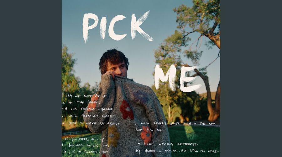 Pick Me Lyrics - Alec Benjamin