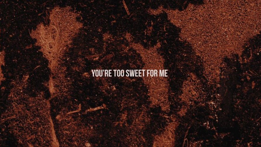 Too Sweet Lyrics – Hozier
