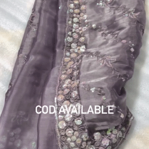 Organza Saree with Handcrafted Embroidery