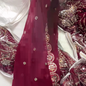 Divine Drapes – Organza Saree with Handcrafted Embroidery